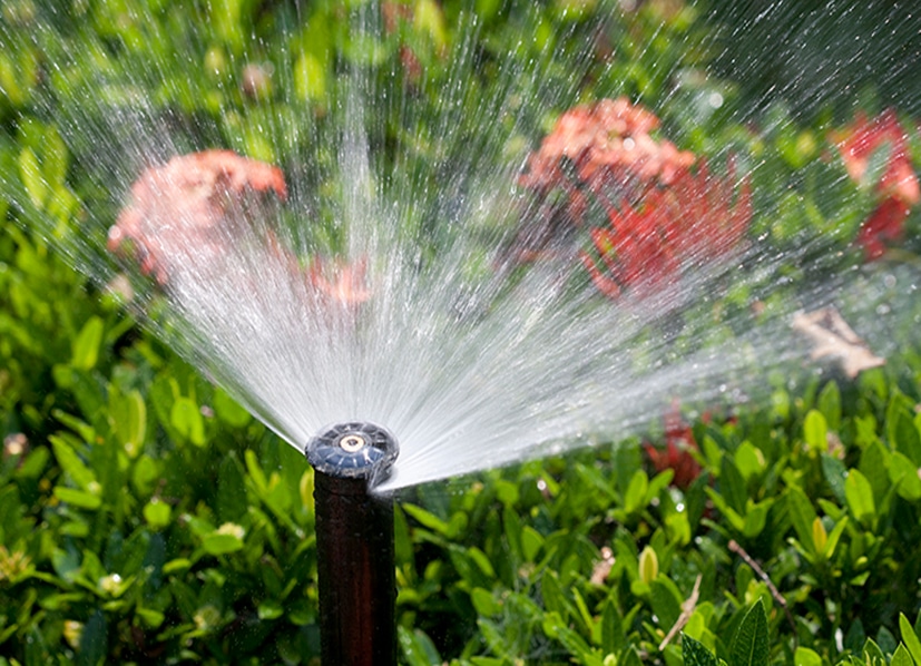 blog Why install a garden irrigation system